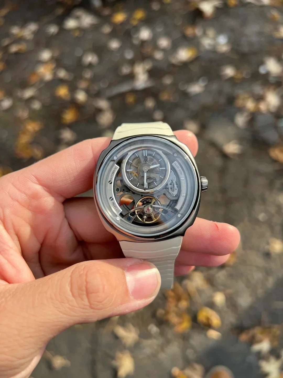 Luxury Watch Offers - ข้อเสนอพิเศษ DG8127 นาฬิกาข้อมือระบบกลไกอัตโนมัติ ตัวเรือนสแตนเลสสตีล ดีไซน์กันน้ำลึก 50
